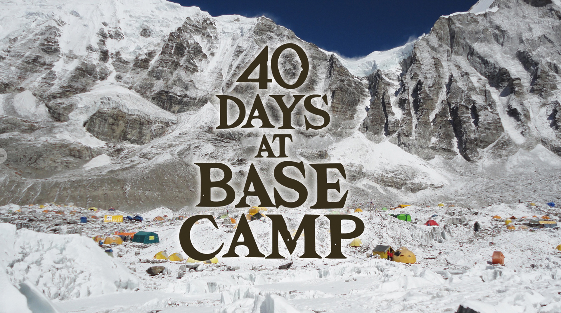 40days